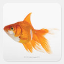 Zoek naar goudvis stickers Sealife