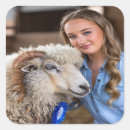 Zoek naar schaap stickers Voor iedereen