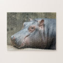 Zoek naar hippopotamus puzzels Foto