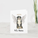 Zoek naar dog memorial kaarten Medeleven