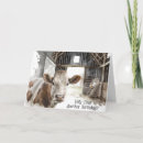 Zoek naar hanen kaarten Elk persoon