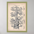 Zoek naar evolutie boom posters Boom van het leven