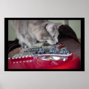 Zoek naar elektrische gitaar posters Gitaren