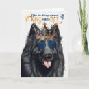 Zoek naar belgische herder briefkaarten Hondenliefhebber