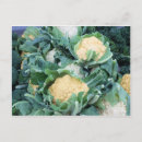 Zoek naar pakket briefkaarten Tuin