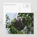 Zoek naar bijenkorf briefkaarten Natuur
