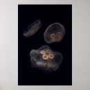 Zoek naar aquarium kunst Zee leven