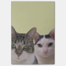 Zoek naar twee gezichten posters Liefde