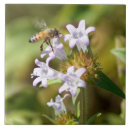 Zoek naar bee tegels Bloemen