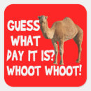 Zoek naar grappige kameel stickers Humor