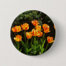 Zoek naar oranje tulp buttons Tulpen