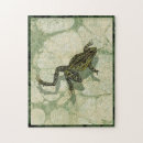 Zoek naar kikker puzzels Groen