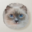 Zoek naar ragdoll kat kussens Poes