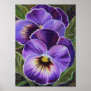 Zoek naar viooltjes posters Paarse bloemen