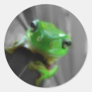 Zoek naar groene kikker stickers Pad