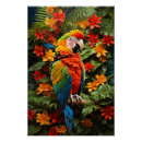 Zoek naar macaw birds posters Ara