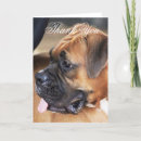 Zoek naar bokser hond kaarten Dier