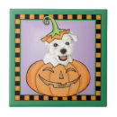 Zoek naar westie tegels Puppy