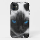 Zoek naar siamese iphone hoesjes Afbeelding