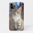 Zoek naar herfst katten elektronica Huisdier