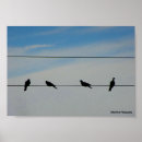 Zoek naar draden posters Elk persoon