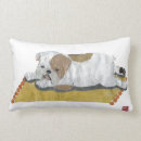 Zoek naar bulldog kussens Buldog