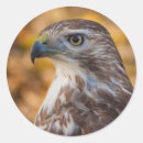 Zoek naar profiel stickers Natuur