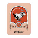 Zoek naar gryffindor magneten Fantasie