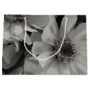 Zoek naar grote eyed Bloemen