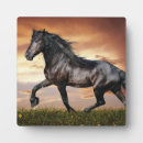 Zoek naar paarden fotoplaat Dier
