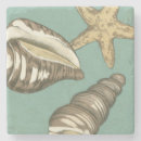 Zoek naar shell onderzetters Zeester