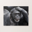 Zoek naar chimpansee puzzels Wilde dieren
