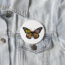 Zoek naar monarch buttons vlinder