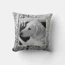 Zoek naar labrador retriever kussens Sneeuw