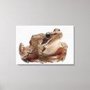 Zoek naar reptiel kunst Schalen