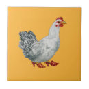 Zoek naar boeren tegels Kippen