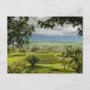 Zoek naar pyramid briefkaarten Landschap