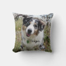 Zoek naar australian shepherd kussens Gezelschapsdieren