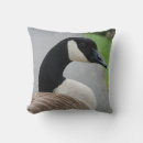 Zoek naar canadese gans kussens Vogels