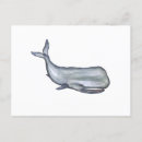 Zoek naar wale briefkaarten Walvis
