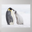 Zoek naar lengte posters Liefde