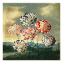 Zoek naar rode bloemen posters Gestreept