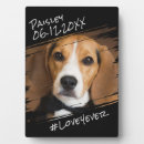 Zoek naar grafisch fotoplaat Modern