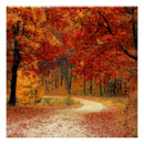 Zoek naar herfst bos posters Najaar