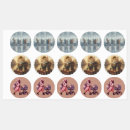 Zoek naar katjes stickers Speels