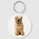Zoek naar shar pei sleutelhangers Puppy
