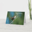 Zoek naar winterkoninkje posters Vogel