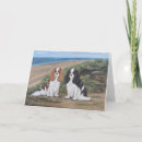 Zoek naar cavaliers kaarten Groet