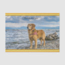 Zoek naar canine tissue papier Elk persoon