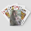 Zoek naar apen speelkaarten Wild